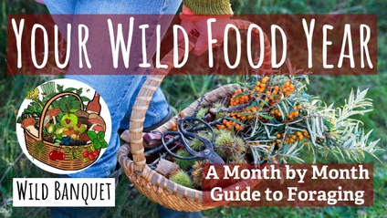 Product image for Your Wild Food Year: Tier 3 (Wild Banquet)