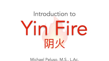 Product image for Yin Fire: The Key to Treating Modern Patients