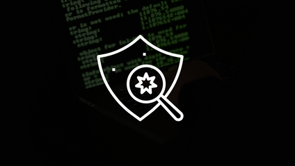 Product image for Information Gathering & Vulnerability Analysis