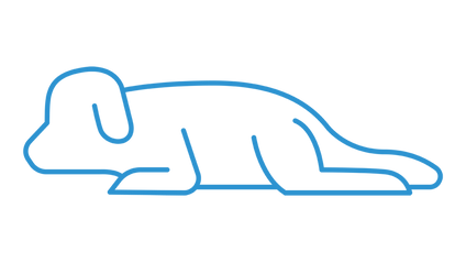 Product image for The Approach to the Down Dog