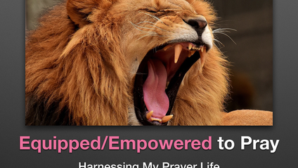 Product image for Equipped/Empowered To Pray