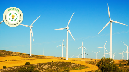 Product image for L'énergie éolienne