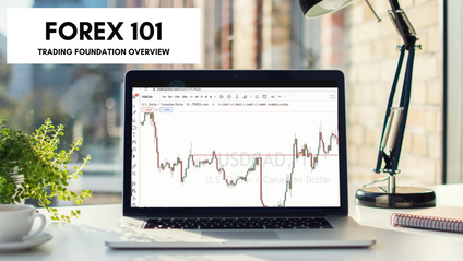 Product image for The Foreign Exchange Market 101