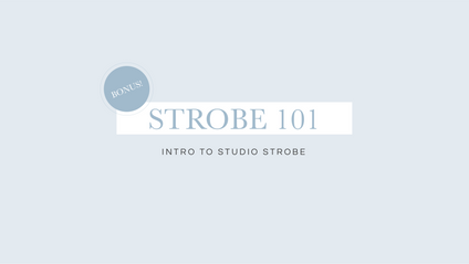 Product image for Strobe 101
