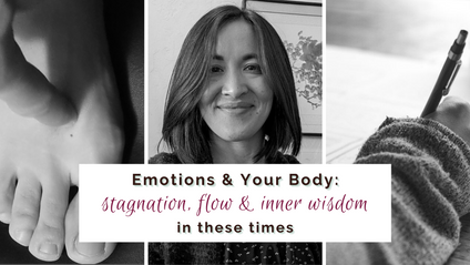 Product image for Emotions & Your Body
