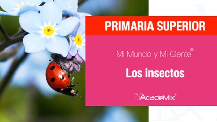 Product image for 5º. 15. Los insectos (Maestro)