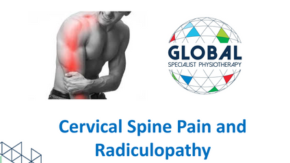 Product image for Cervical Spine Pain and Radiculopathy - 4 CPD Hours