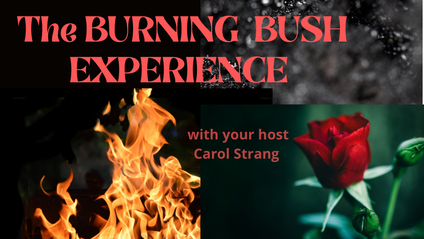 Product image for (1) Continuation of The Burning Bush Experience Challenge 