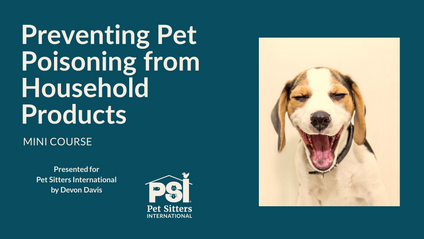 Product image for Mini Course: Preventing Pet Poisoning from Household Products