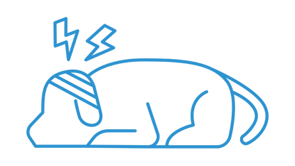 Product image for Introduction to Traumatic Brain Injury