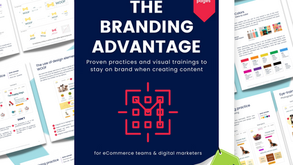 Product image for The Branding Advantage