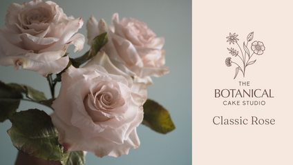Product image for Classic Rose