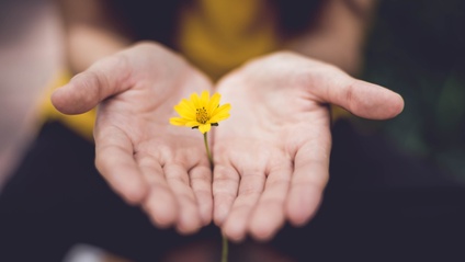 Product image for The Athena Collective: Creating An Inspired Midlife... Together