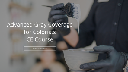 Product image for 4 hour Advanced Gray Hair Coverage