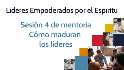 Product image for Sesión 4 de mentoría
