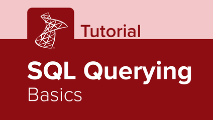 Product image for SQL Querying Basics