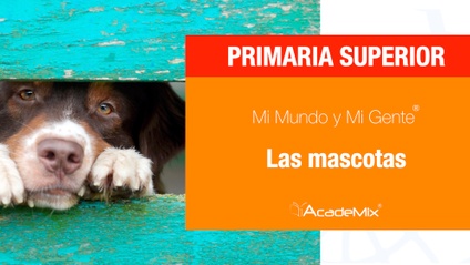 Product image for 6º. 12. Las mascotas (Maestro)