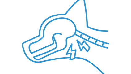 Product image for Myelopathies and Atlanto-occipital Abnormalities