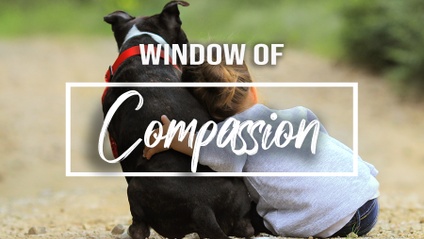 Product image for Window of Compassion- Windows to the Father's Heart Series