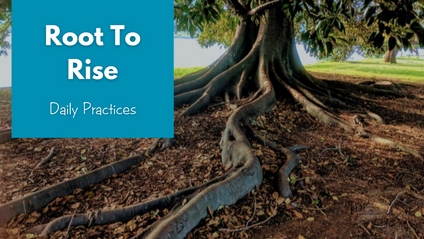 Product image for Root to Rise - Daily Practices