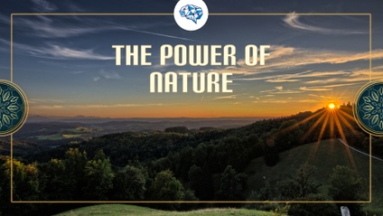 Product image for The Power of Nature