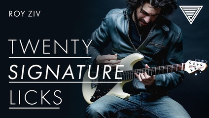 Product image for 20 Signature Licks & Phrases
