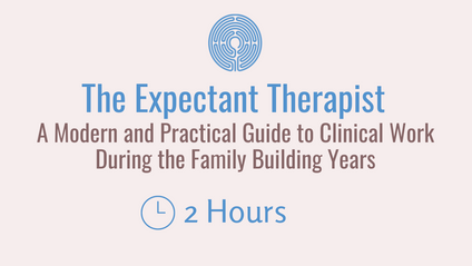 Product image for The Expectant Therapist