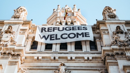 Product image for Assessment for Asylum Petitions