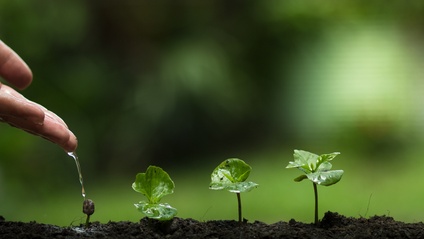 Product image for Key Practice : Leading & Mentoring Others   [For Early Childhood Leaders and Managers]