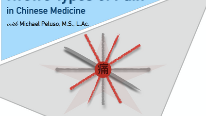 Product image for 12 Types of Pain in Chinese Medicine
