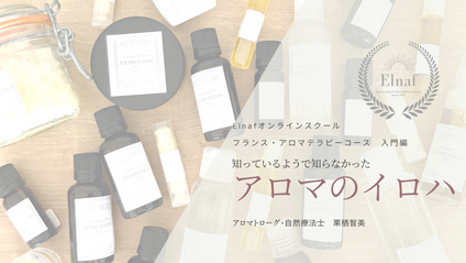 Product image for フランス・アロマテラピーコース　入門編