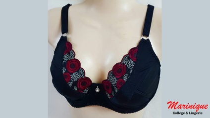 Product image for Course 13: Zanzi Bra