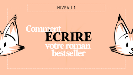 Product image for NIVEAU 1 : Comment Écrire un bestseller