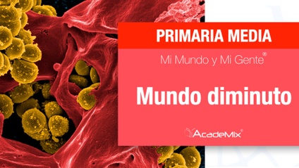 Product image for 3º. 05. Mundo diminuto (Maestro)