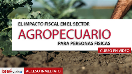Product image for EL IMPACTO FISCAL EN EL SECTOR AGROPECUARIO