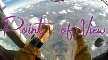 Product image for Point of View