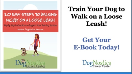 Product image for E-WorkBook - 1O Easy Steps to Walking Nicely on a Loose Leash!