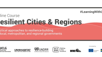 Product image for Resilient Cities & Regions