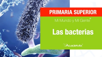 Product image for 5º. 11. Las bacterias (Maestro)