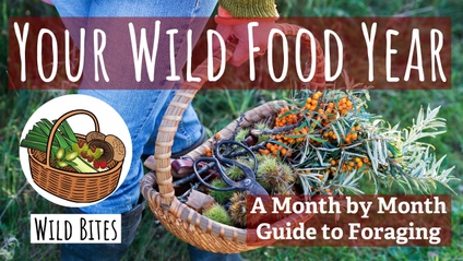 Product image for Your Wild Food Year: Tier 1 (Wild Bites)
