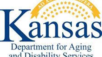 Product image for Kansas Medicaid PBS Intensive Endorsement Training