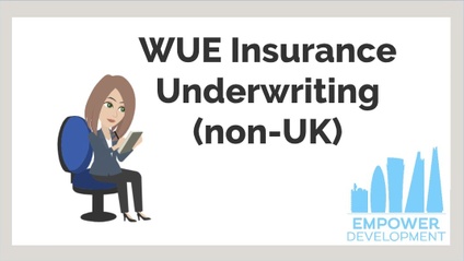 Product image for WUE - Insurance Underwriting (non-UK)