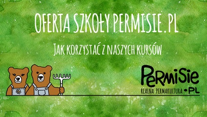 Product image for Oferta Szkoły Permisie.pl