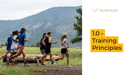 Product image for 1.0 - Training Principles