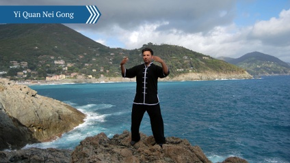 Product image for Yi Quan Nei Gong