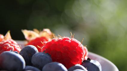 Product image for Certificate Course in Pregnancy Nutrition - Pre-recorded