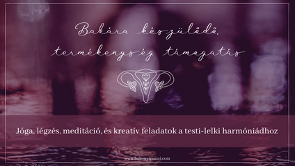 Product image for Babára készülődő, termékenység támogatás