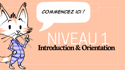 Product image for NIVEAU 1 : Introduction & Orientation