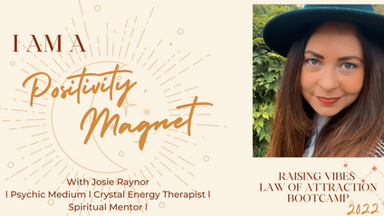 Product image for  I am a Positivity Magnet Bootcamp