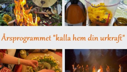 Product image for Årsprogrammet "kalla hem din urkraft"